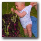 [Click to enlarge image]