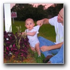 [Click to enlarge image]