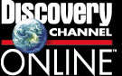 Discovery Online