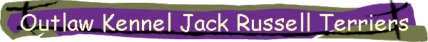 Outlaw Kennel Jack Russell Terriers