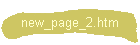 new_page_2.htm