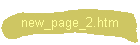 new_page_2.htm