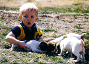 Chase & puppies in hole