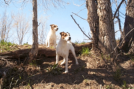Billy the Kid & Annie Oakley