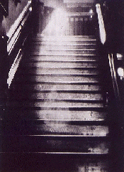 The Brown Lady Of Raynham Hall