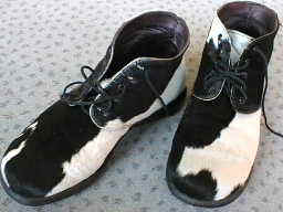 Cow Shoes
