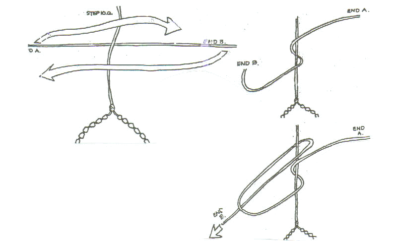 Knot3.jpg (42640 bytes)