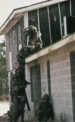 cf03.gif - 32304 Bytes