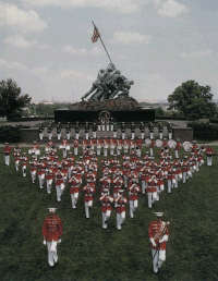 cf24.gif - 35121 Bytes