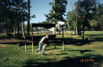 mtg3.gif - 79167 Bytes