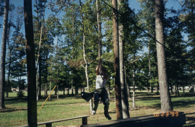 mtg6.gif - 77972 Bytes