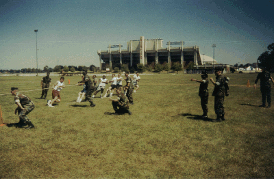 mtg8.gif - 89173 Bytes