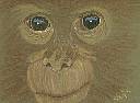 orangutang2.jpg