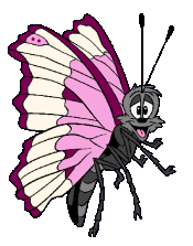 my Butterfly Twin Righty