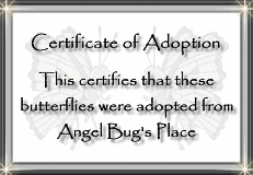 my Butterfly Certificate