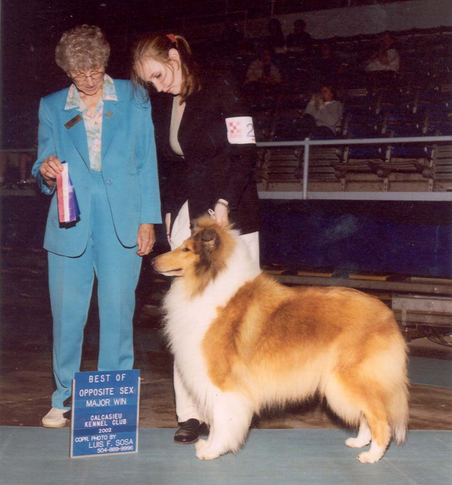 ShezaWhisperNEarthstar3pt