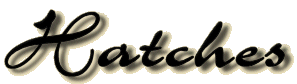 Hatch logo