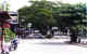 avenida3.jpg (28271 bytes)