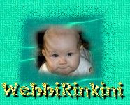 rinki0.jpg (11871 bytes)