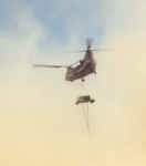 chincarry.jpg (23709 bytes)