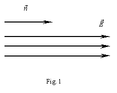 fig1.gif (1385 bytes)