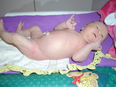 tytto.jpg (28247 bytes)