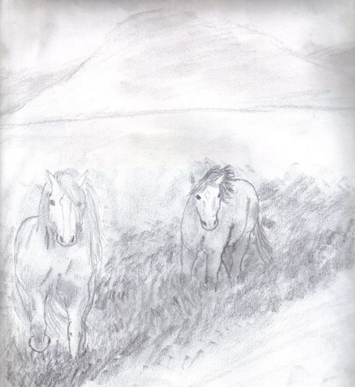 Horses by Lindsay P