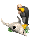 Vulture and skeleton