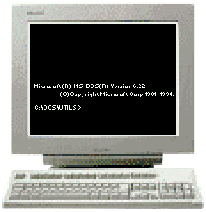 Computer boots to W31 and custom desktop - anime