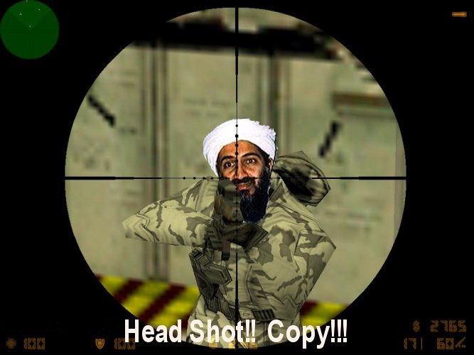 Headshot Osama