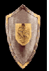 picture of a sheild