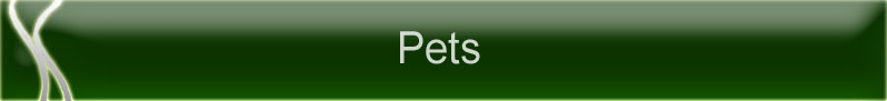 Pets