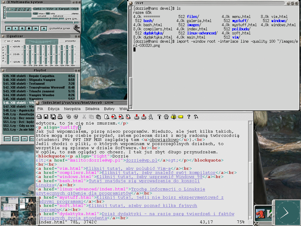 Enlightenment, 20 marca 2003