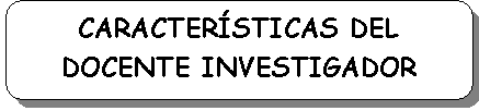 Rect�ngulo redondeado: CARACTER�STICAS DEL DOCENTE INVESTIGADOR