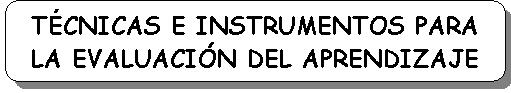 Rect�ngulo redondeado: T�CNICAS E INSTRUMENTOS PARA LA EVALUACI�N DEL APRENDIZAJE