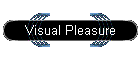Visual Pleasure