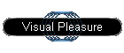 Visual Pleasure