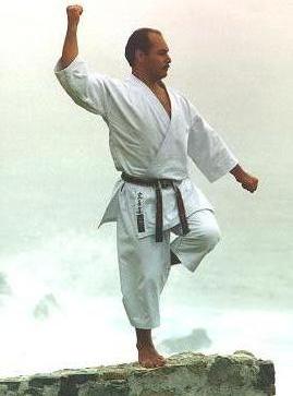 Shihan Nico Ayub practicing Gyankaku Kata. Please refer to the page related to Bunkai Kata into our website
