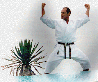 Requisito para ascender al NIDAN, dentro del programa del Shoto Kan Karate Kyokai. JITE permite el avance del candidato al 2do estadio de cinta negra, representa un avance de su conciencia, desarrollo tcnico, aplicacin al entrenamiento y prctica de preceptos y principios de nuestra escuela!.