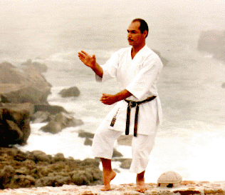 Shihan Nico practicing BASSAI SHO KATA