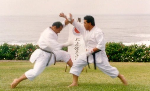 Shihan Nico mostrando la efectividad de la tcnica Gyaku Suki. Estadisticamente la tcnica que promueve mas puntos en los torneos. Atras de esta imagen podemos ver el emblema de nuestra escuela.