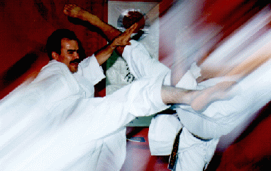 Imagen de accin en Kumite, se puede apreciar con la camara lo que el ojo humano no percibe en la competencia