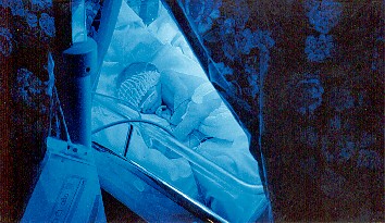 Linus solar p&aring; Neo