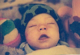 Theo i Tysta rummet, omgiven av gosedjur.