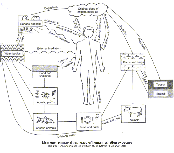 Environmental Pathways of Human Radiation Exposure