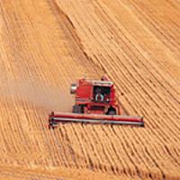 A Harvester/Thrasher