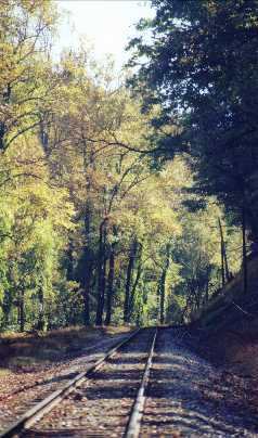 Patapsco River Railroad Tracks