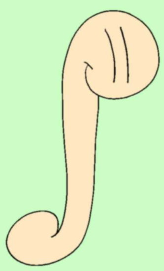 The Integral Worm, Inc.