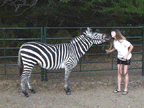 Have you kissed your zebra today?