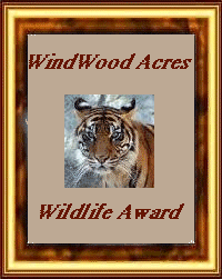 Click here to visit WindWood Acres